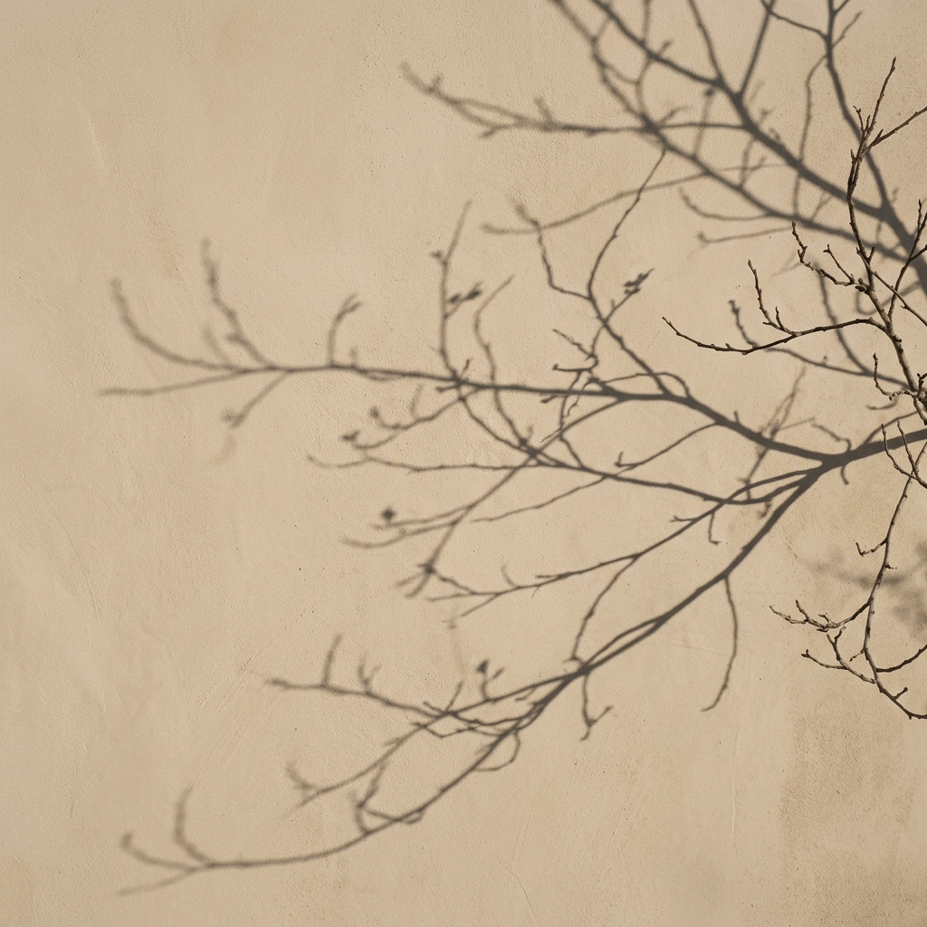 Sombras sutiles de ramas en una pared clara